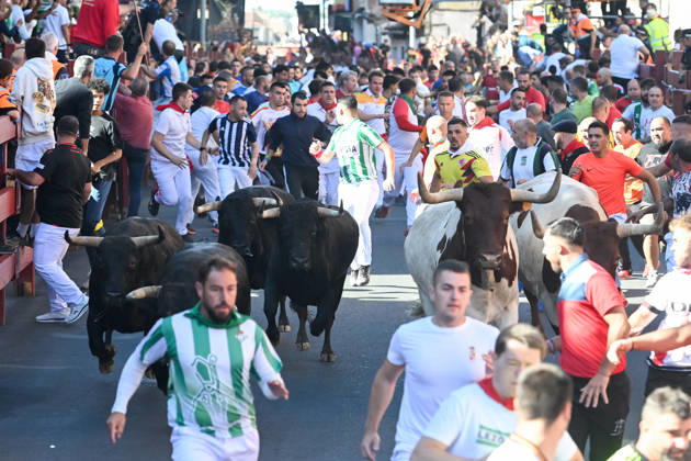 Spain, bull run in San Sebastián