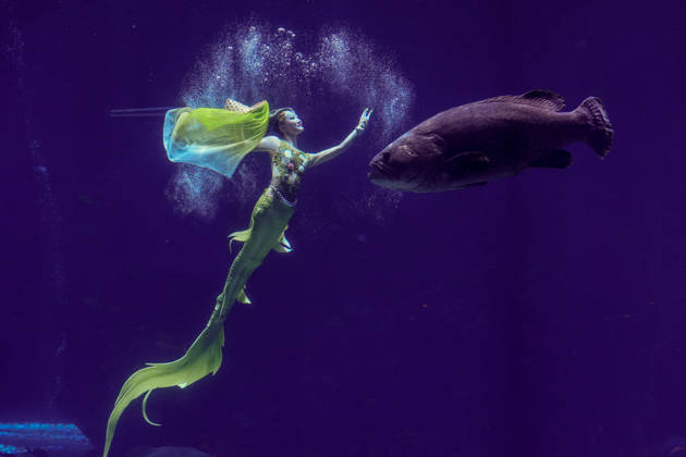 China, Mermaid Open in Lingshui
