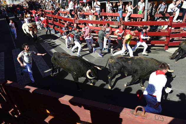 Spain, bull run in San Sebastián