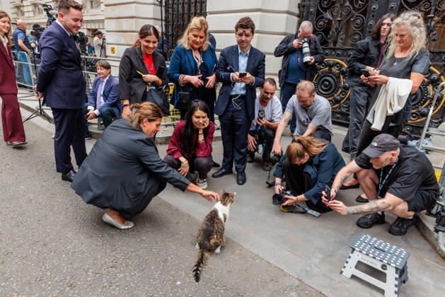 Großbritannien, Larry the Cat trifft französische Presse in London