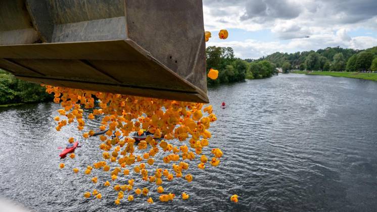 NRW, Entenrennen in Essen