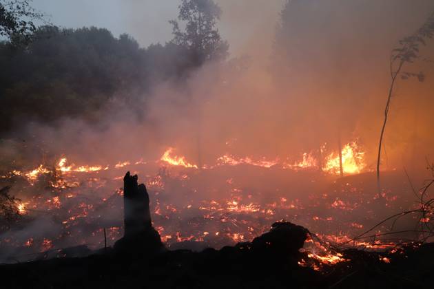Waldbrände in Indonesien