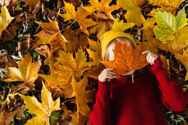 IMAGO Creative, Herbst