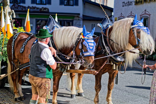 search text 16:25 Bavaria, Georgi Ride in Ruhpolding in the Chiemgau region