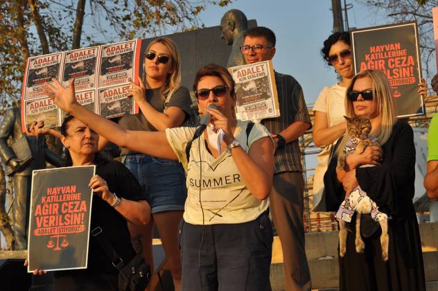 Turkey: Animal welfare campaigners demonstrate in Istanbul