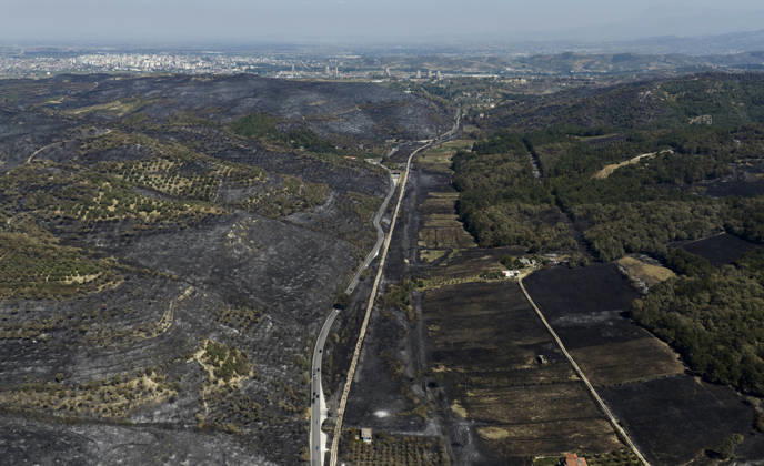 Albania: damage caused by forest fires