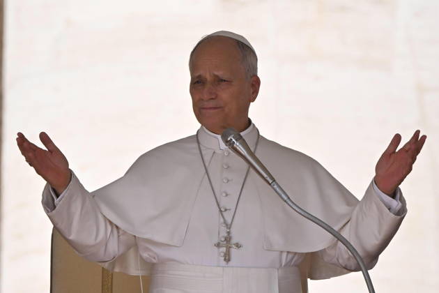 Vatican, Pope Leo XIV during a general audience