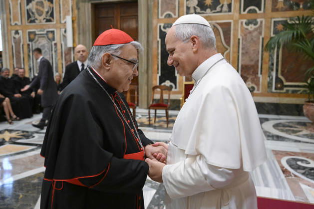 Vatican, Pope Leo XIV. Private audience