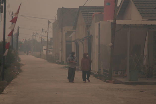 Forest fires in Indonesia