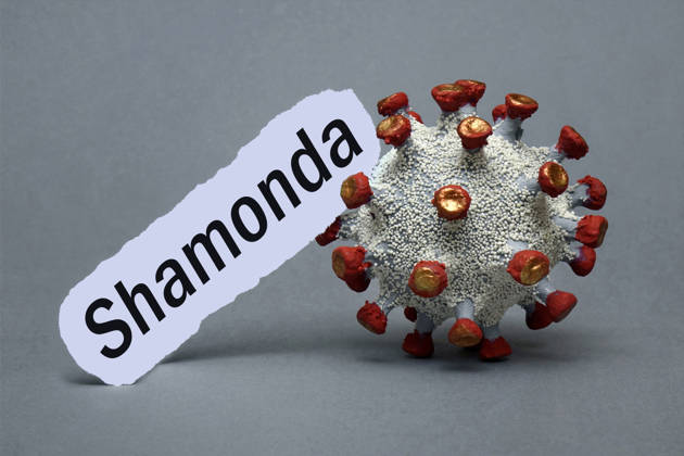 Shamonda virus detected in a human for the first time: patient has died, stock images