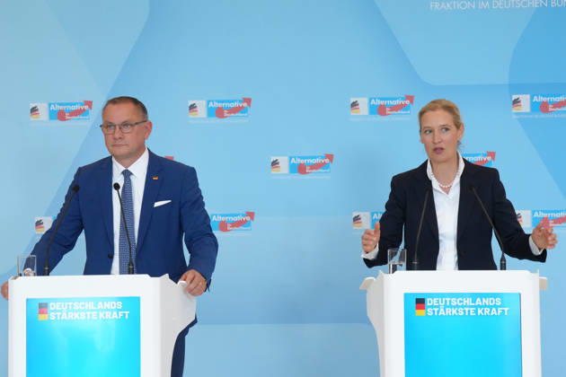 Berlin, AfD Pressestatement im Bundestag