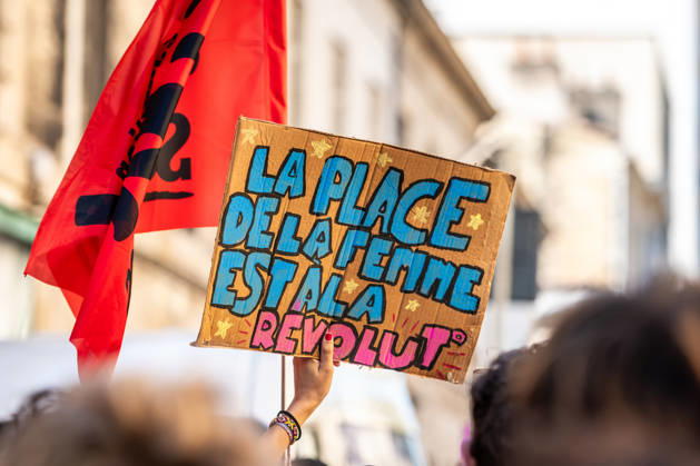 Frankreich, Demonstration von Schülern und Studierenden in Bordeaux