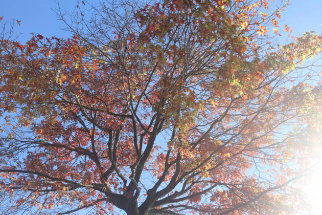Hamburg: Autumn Impressions