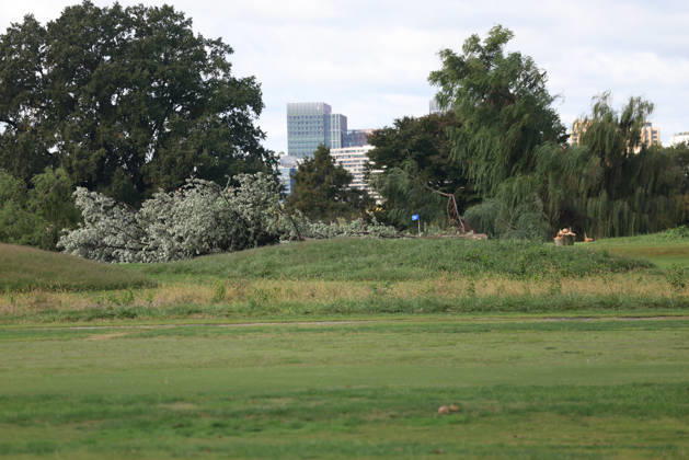 USA: Felling of trees at the historic East Potomac golf course in Washington DC