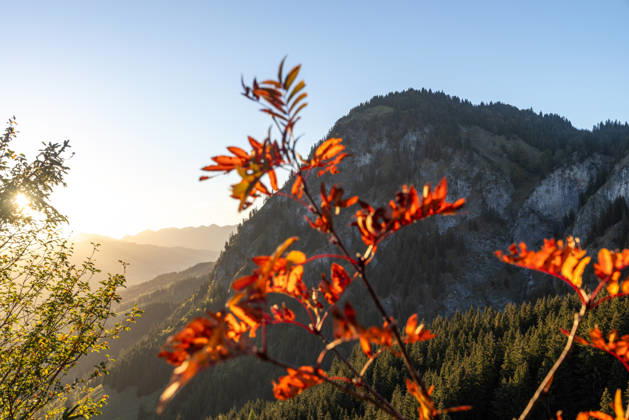 Bavaria, Autumn in the Allgäu
