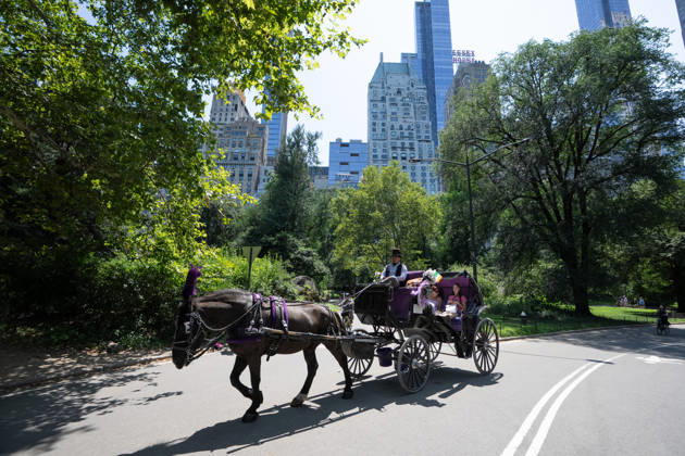 New York City Council votes to ban horse-drawn carriages from Central Park, archive photos