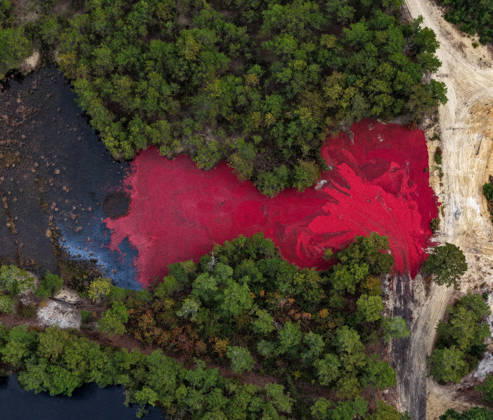 USA, Cranberry harvest in Chatsworth, New Jersey