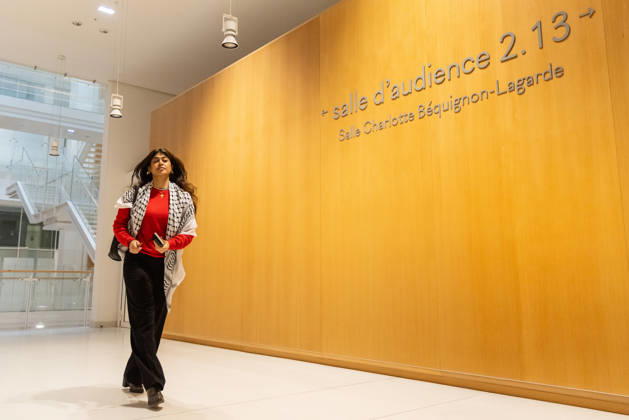 France, the trial of Rima Hassan in Paris