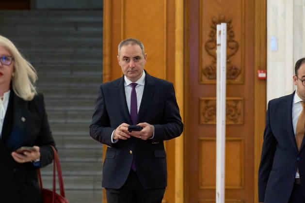 Romania: Minister Niculescu of the Cabinet at parliamentary hearings in Bucharest