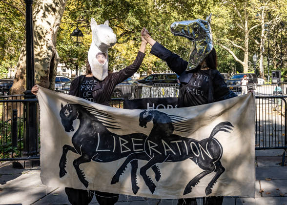 USA: Animal rights activists demonstrate in favour of a ban on horse-drawn carriages in New York