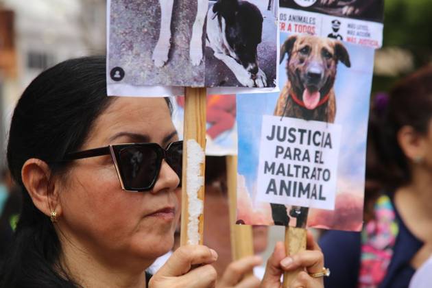 Venezuela, Tierschützer demonstrieren in Caracas