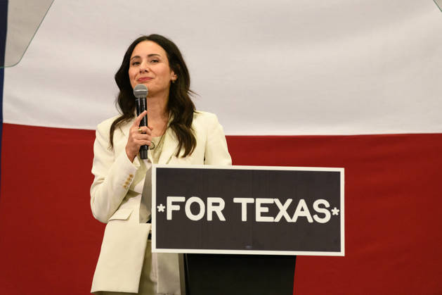 US mid-term elections, Democratic Party campaign in Dallas, Texas