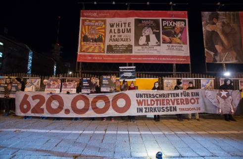 Animal rights activists protest against Circus Krone's Christmas premiere in Munich