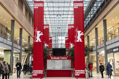 69th Berlinale, Structure and Impressions