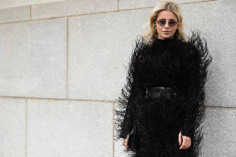 Fashion Feathers and Animal Print