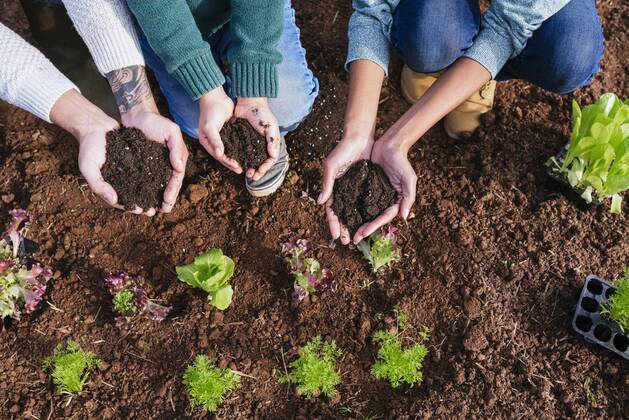 IMAGO Creative, Lifestyle, Familie, gemeinsame Gartenarbeit