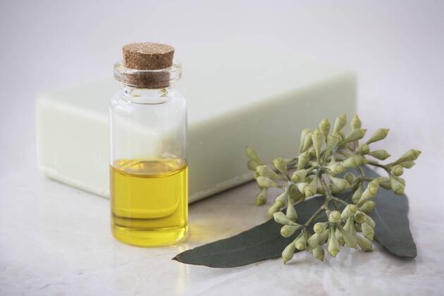 Lifestyle, Kosmetik, Zero Waste, Seifen