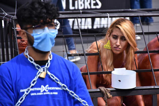 Mexico, animal rights activists protest on World Animal Day in Mexico City
