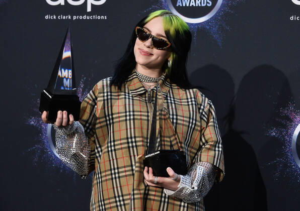 American Music Awards in Los Angeles - the prizewinners