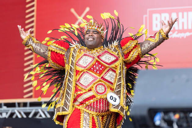 Brazil, Street Carnival opened in Rio de Janeiro