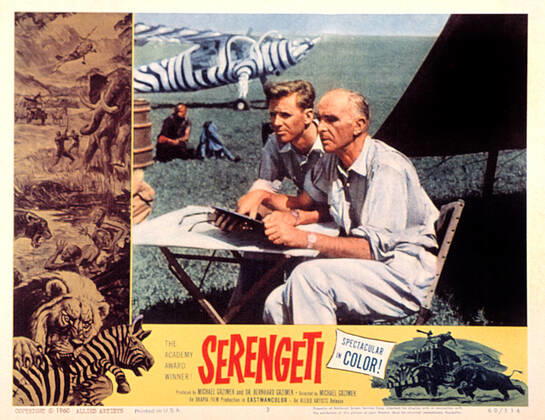 OSCARS: German Award Winners, Serengeti Must Not Die, Best Documentary 1960