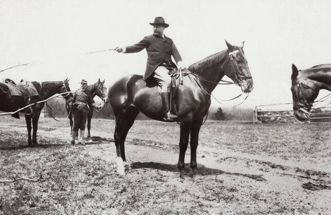 IMAGO History, Die großen Präsidenten der USA, Theodore Roosevelt