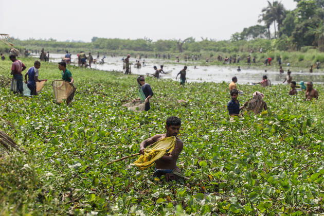 Coronavirus in Indien, Eindrücke aus Kolkata