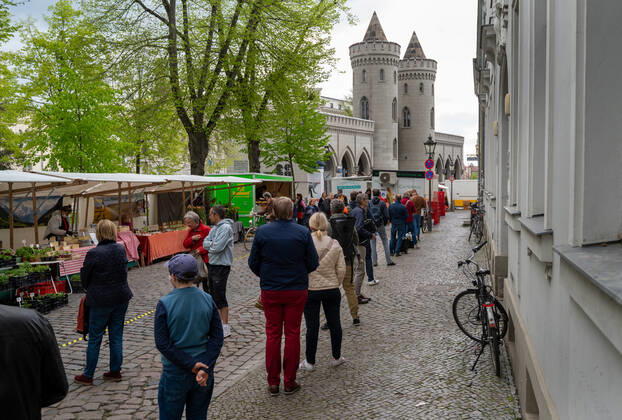 Coronavirus in Brandenburg, Wochenmarkt in Potsdam