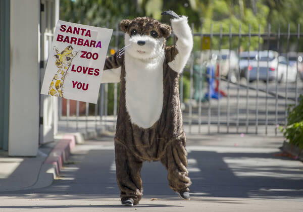Coronavirus in den USA, Spendenaktion des Santa Barbara Zoos in Kalifornien